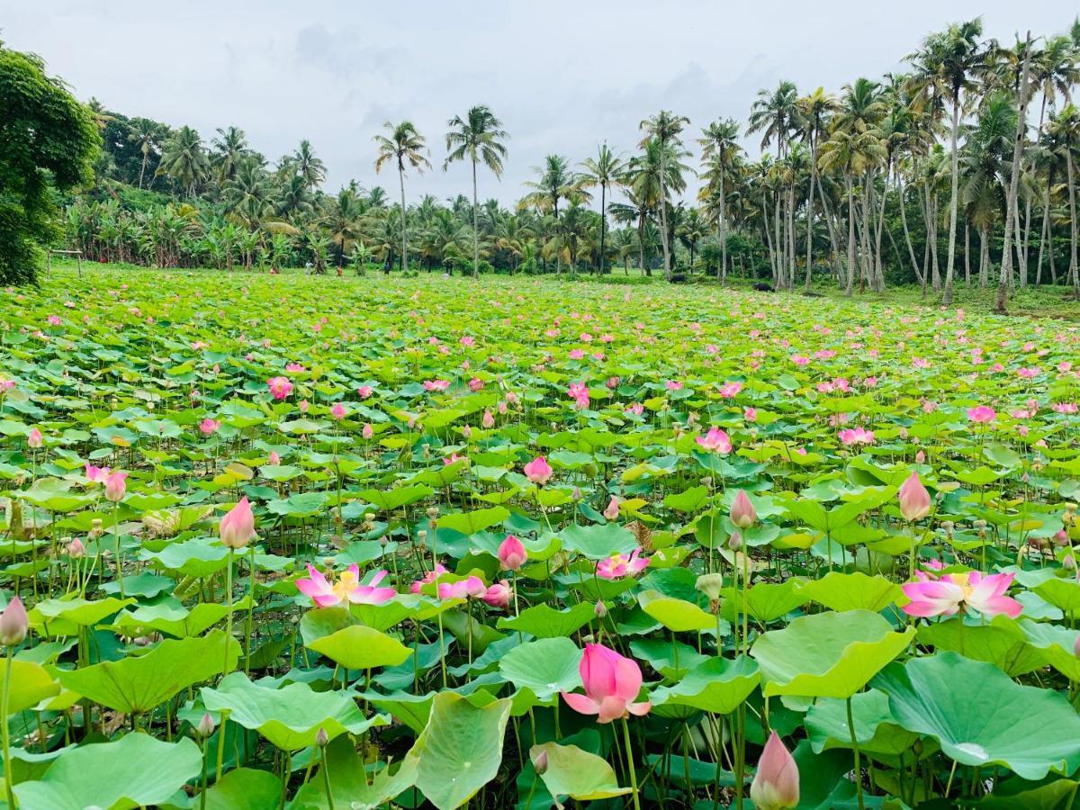 Maadathil Cottages Varkala Luaran gambar