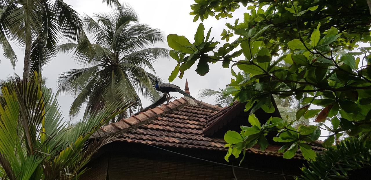 Maadathil Cottages Varkala Luaran gambar